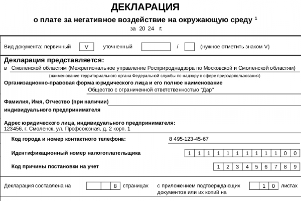 Декларация о воздействии на окружающую среду